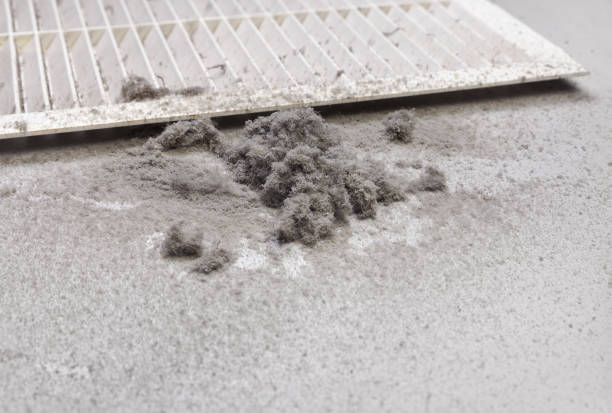 Best Affordable Duct Cleaning Services  in Keokea, HI