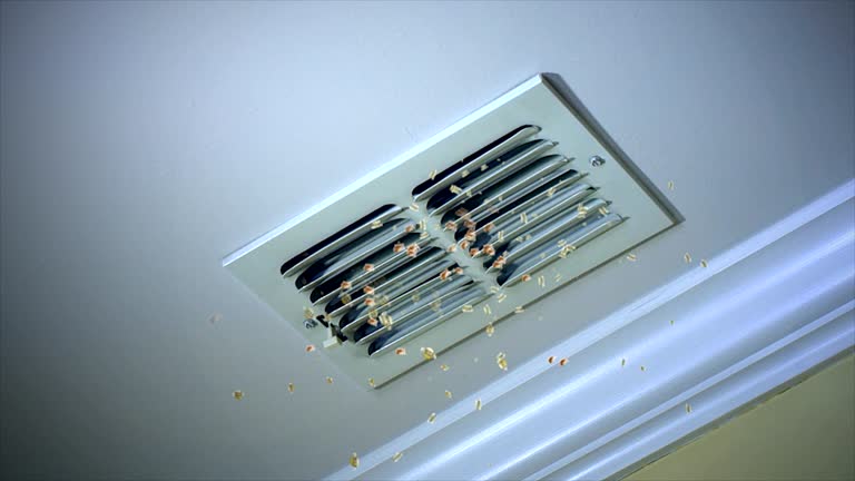 Best Commercial Air Duct Cleaning  in Keokea, HI